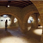 p17gvha22fe8l1g8919e1oklrn65