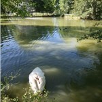 p18dtnp5g31sdauq51ssdmlr18986