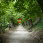 Parco