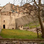Montone_Bis