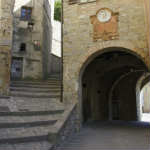 Montone3
