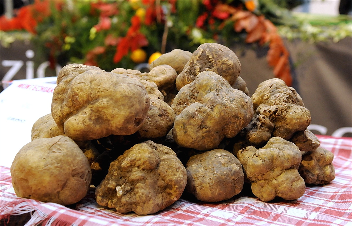 Potato and Truffle exhibit