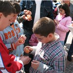 p198t11mvptji1j7gsaufipo756