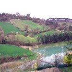 p16qtaj3391sjp1npo19g2rlj118s5