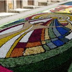 p16qvtkohp142lg0i1pdg1fjr1tue3