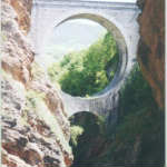 31963F84d0_1557430_Med