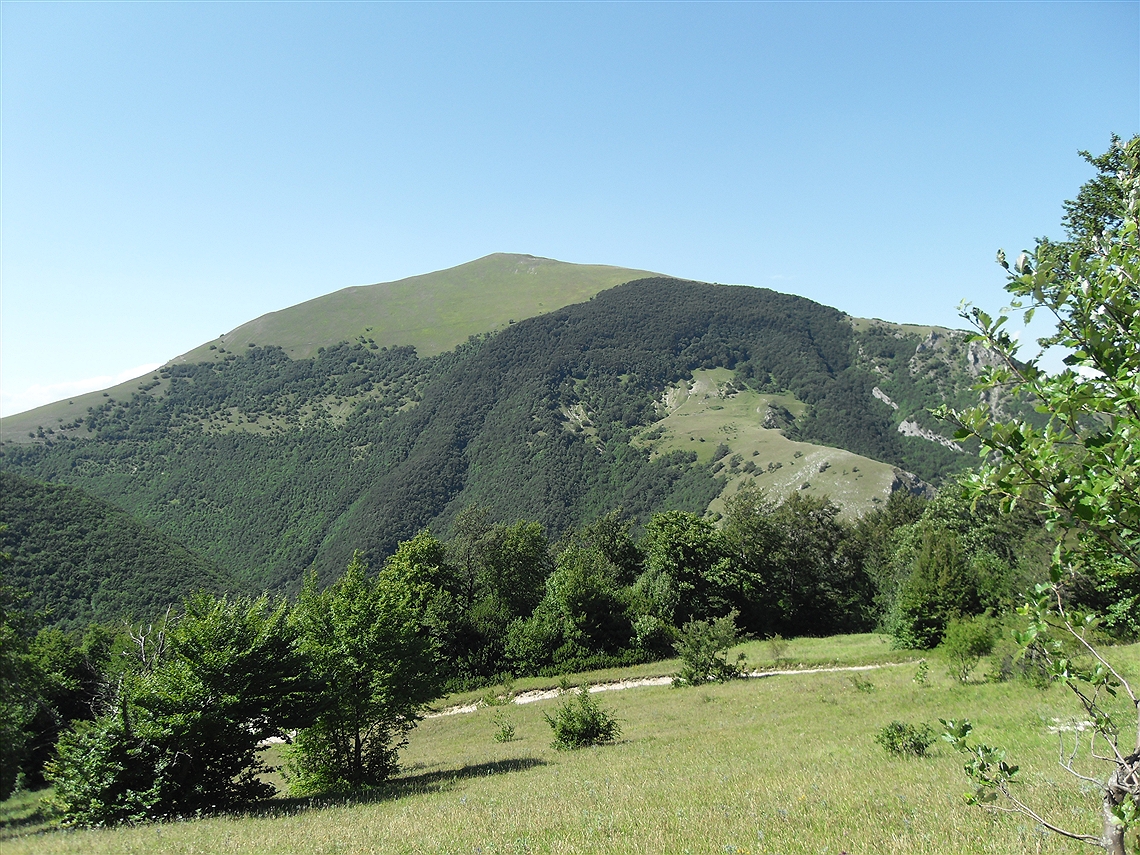Sagre gastronomiche e spettacoli