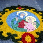 p16qvq3ej7eo379947f1gev1o663