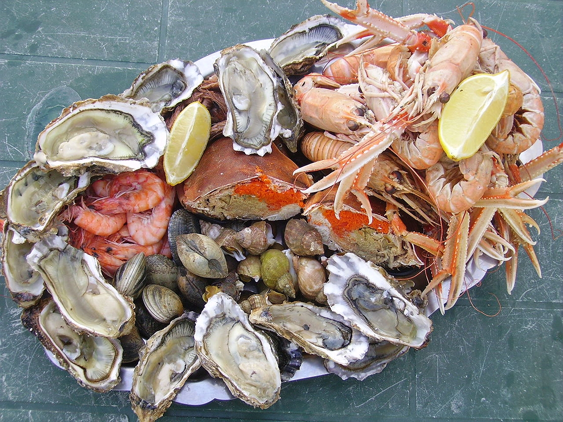 Festival of the Sea Fish